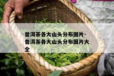 普洱茶各大山头分布图片-普洱茶各大山头分布图片大全