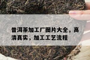 普洱茶加工厂图片大全，高 *** 实，加工工艺流程