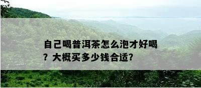 自己喝普洱茶怎么泡才好喝？大概买多少钱合适？