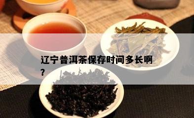 辽宁普洱茶保存时间多长啊？