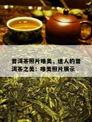 普洱茶照片唯美，迷人的普洱茶之美：唯美照片展示