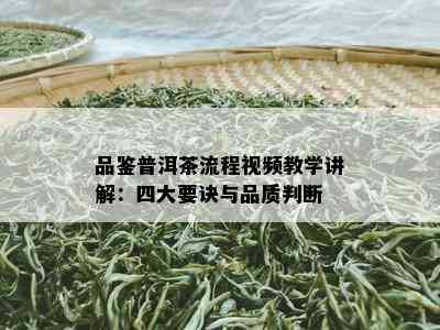 品鉴普洱茶流程视频教学讲解：四大要诀与品质判断