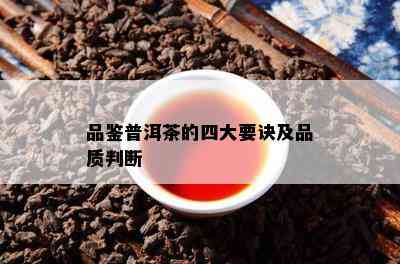 品鉴普洱茶的四大要诀及品质判断