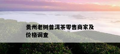 贵州老树普洱茶零售商家及价格调查