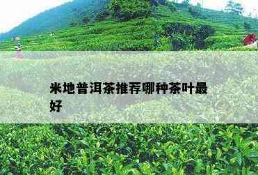 米地普洱茶推荐哪种茶叶更好