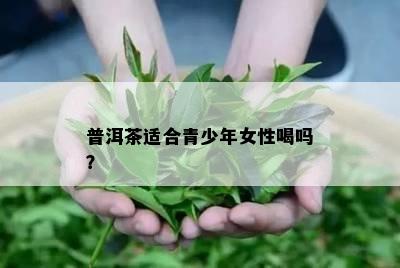 普洱茶适合青少年女性喝吗？