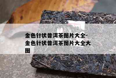 金色针状普洱茶图片大全-金色针状普洱茶图片大全大图