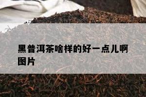 黑普洱茶啥样的好一点儿啊图片