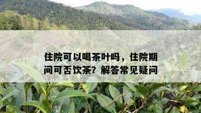 住院可以喝茶叶吗，住院期间可否饮茶？解答常见疑问