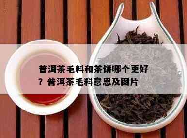 普洱茶毛料和茶饼哪个更好？普洱茶毛料意思及图片