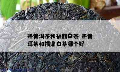 熟普洱茶和福鼎白茶-熟普洱茶和福鼎白茶哪个好