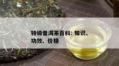 特级普洱茶百科: 知识、功效、价格