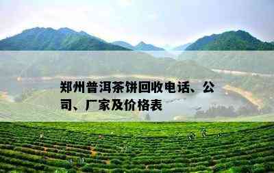 郑州普洱茶饼回收电话、公司、厂家及价格表