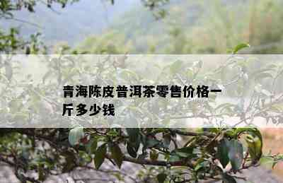 青海陈皮普洱茶零售价格一斤多少钱