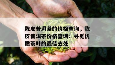 陈皮普洱茶的价格查询，陈皮普洱茶价格查询：寻觅优质茶叶的更佳去处