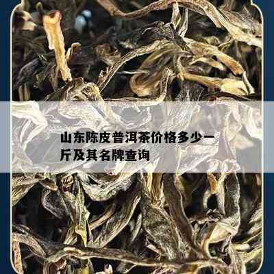 山东陈皮普洱茶价格多少一斤及其名牌查询