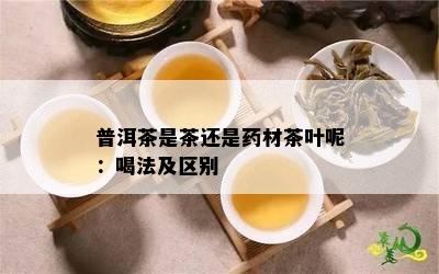 普洱茶是茶还是材茶叶呢：喝法及区别