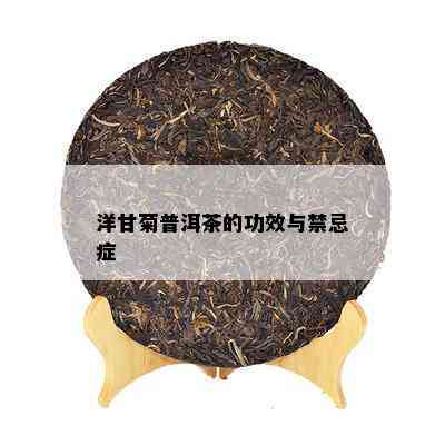 洋甘菊普洱茶的功效与禁忌症