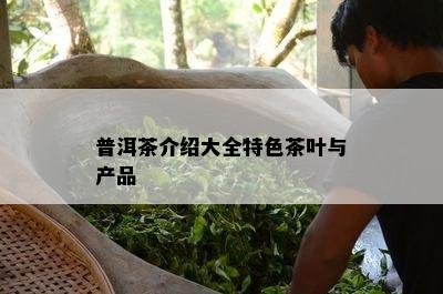 普洱茶介绍大全特色茶叶与产品