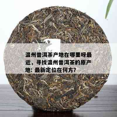 温州普洱茶产地在哪里呀最近，寻找温州普洱茶的原产地: 最新定位在何方？