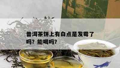 普洱茶饼上有白点是发霉了吗？能喝吗？