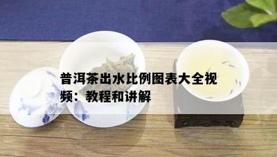 普洱茶出水比例图表大全视频：教程和讲解