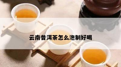 云南普洱茶怎么泡制好喝