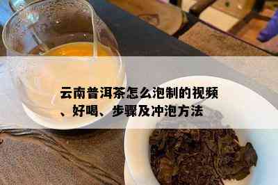 云南普洱茶怎么泡制的视频、好喝、步骤及冲泡方法