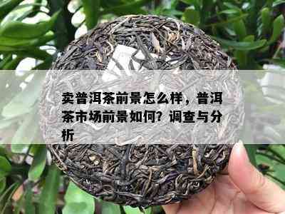 卖普洱茶前景怎么样，普洱茶市场前景如何？调查与分析