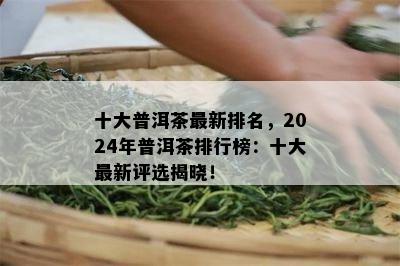 十大普洱茶最新排名，2024年普洱茶排行榜：十大最新评选揭晓！