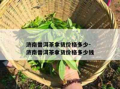 济南普洱茶拿货价格多少-济南普洱茶拿货价格多少钱