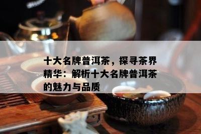 十大名牌普洱茶，探寻茶界精华：解析十大名牌普洱茶的魅力与品质