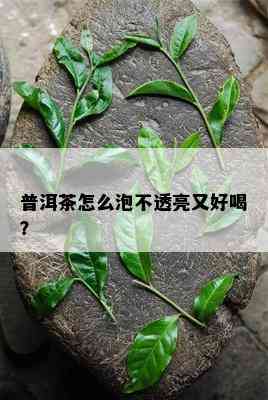 普洱茶怎么泡不透亮又好喝？