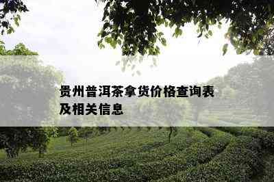 贵州普洱茶拿货价格查询表及相关信息