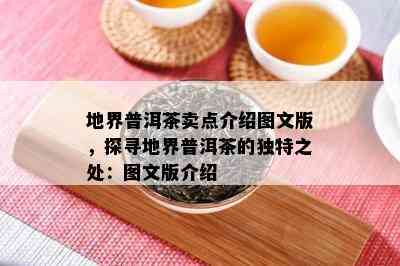 地界普洱茶卖点介绍图文版，探寻地界普洱茶的独特之处：图文版介绍