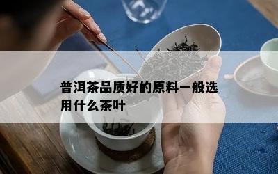 普洱茶品质好的原料一般选用什么茶叶