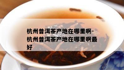 杭州普洱茶产地在哪里啊-杭州普洱茶产地在哪里啊更好