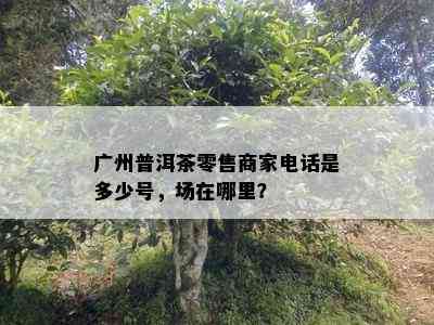 广州普洱茶零售商家电话是多少号，场在哪里？