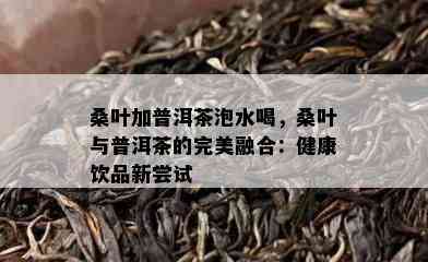 桑叶加普洱茶泡水喝，桑叶与普洱茶的完美融合：健康饮品新尝试