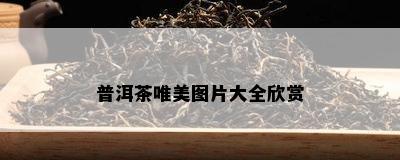 普洱茶唯美图片大全欣赏