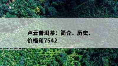 卢云普洱茶：简介、历史、价格和7542