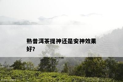 熟普洱茶提神还是安神效果好？