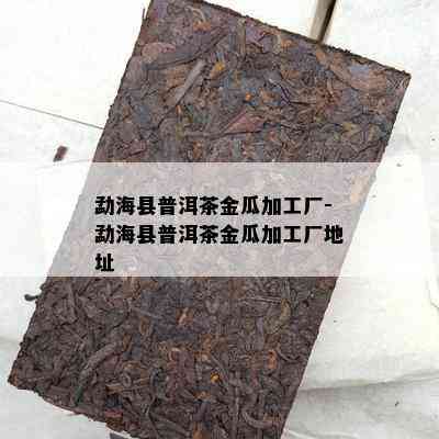 勐海县普洱茶金瓜加工厂-勐海县普洱茶金瓜加工厂地址