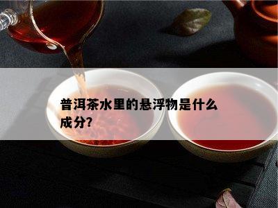 普洱茶水里的悬浮物是什么成分？