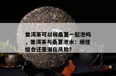 普洱茶可以和桑葚一起泡吗，普洱茶与桑葚泡水：绝佳组合还是潜在风险？