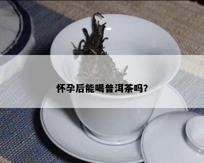 怀孕后能喝普洱茶吗？