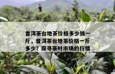 普洱茶台地茶价格多少钱一斤，普洱茶台地茶价格一斤多少？探寻茶叶市场的行情