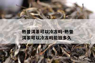 熟普洱茶可以冷冻吗-熟普洱茶可以冷冻吗能放多久