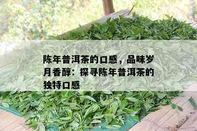 陈年普洱茶的口感，品味岁月香醇：探寻陈年普洱茶的独特口感