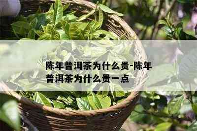 陈年普洱茶为什么贵-陈年普洱茶为什么贵一点